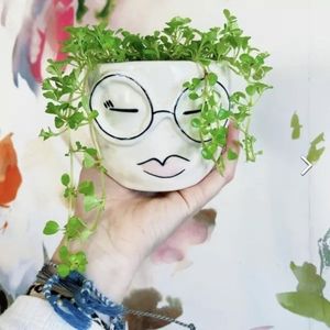 Fab Pot by Accent Decor Face Ceramic Plant Pot